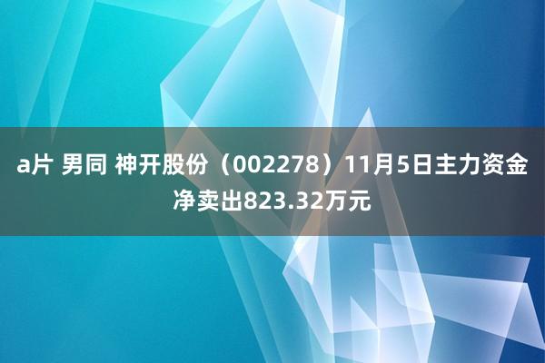 a片 男同 神开股份（002278）11月5日主力资金净卖出823.32万元