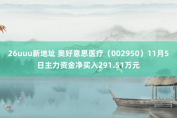 26uuu新地址 奥好意思医疗（002950）11月5日主力资金净买入291.51万元