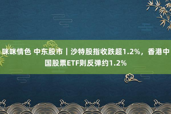 咪咪情色 中东股市｜沙特股指收跌超1.2%，香港中国股票ETF则反弹约1.2%