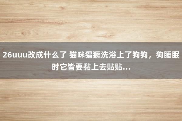 26uuu改成什么了 猫咪猖獗洗浴上了狗狗，狗睡眠时它皆要黏上去贴贴...