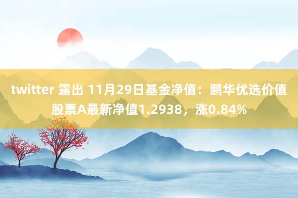 twitter 露出 11月29日基金净值：鹏华优选价值股票A最新净值1.2938，涨0.84%