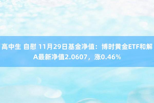 高中生 自慰 11月29日基金净值：博时黄金ETF和解A最新净值2.0607，涨0.46%