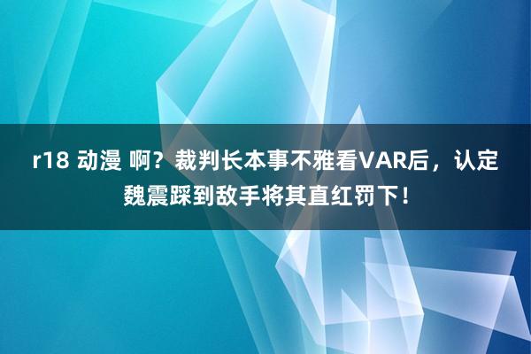 r18 动漫 啊？裁判长本事不雅看VAR后，认定魏震踩到敌手将其直红罚下！