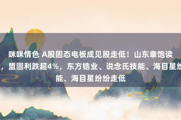 咪咪情色 A股固态电板成见股走低！山东章饱读跌超6%，盟固利跌超4%，东方锆业、说念氏技能、海目星纷纷走低