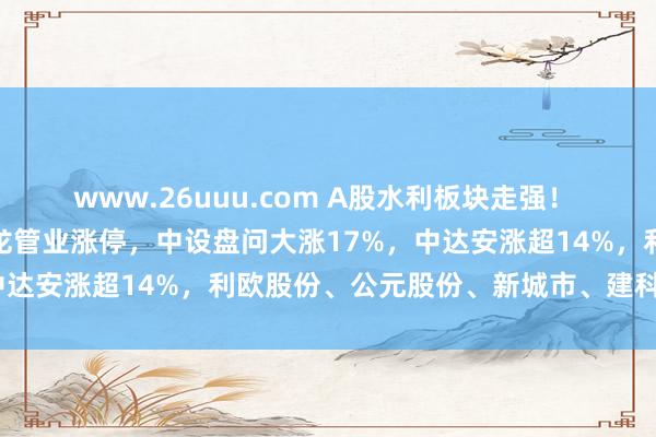 www.26uuu.com A股水利板块走强！ 梅雁祯祥涨停二连板，青龙管业涨停，中设盘问大涨17%，中达安涨超14%，利欧股份、公元股份、新城市、建科院跟涨