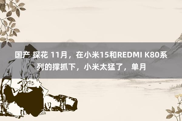 国产 探花 11月，在小米15和REDMI K80系列的撑抓下，小米太猛了，单月