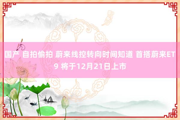 国产 自拍偷拍 蔚来线控转向时间知道 首搭蔚来ET9 将于12月21日上市