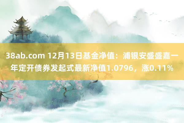 38ab.com 12月13日基金净值：浦银安盛盛嘉一年定开债券发起式最新净值1.0796，涨0.11%