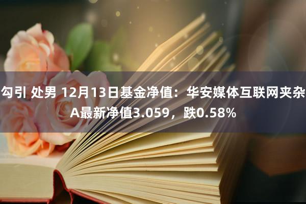 勾引 处男 12月13日基金净值：华安媒体互联网夹杂A最新净值3.059，跌0.58%