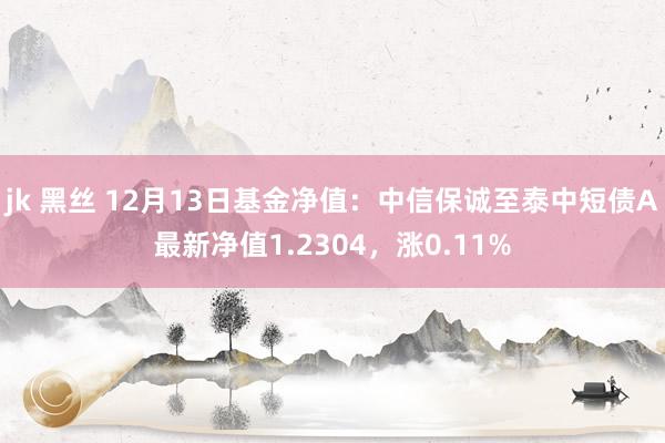 jk 黑丝 12月13日基金净值：中信保诚至泰中短债A最新净值1.2304，涨0.11%