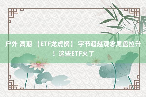 户外 高潮 【ETF龙虎榜】 字节超越观念尾盘拉升！这些ETF火了