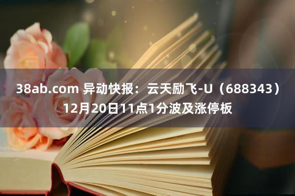 38ab.com 异动快报：云天励飞-U（688343）12月20日11点1分波及涨停板