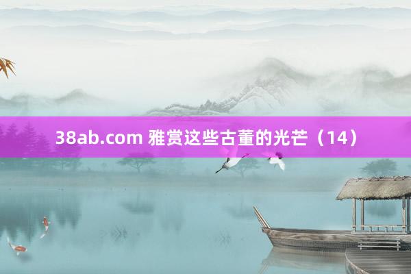 38ab.com 雅赏这些古董的光芒（14）