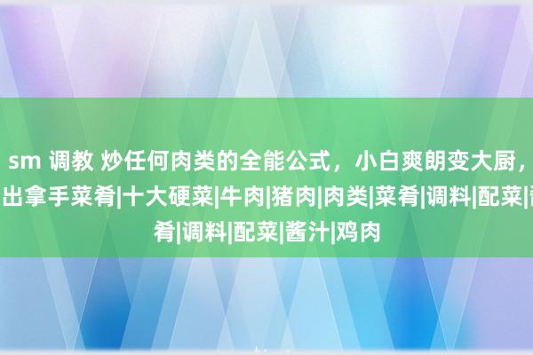 sm 调教 炒任何肉类的全能公式，小白爽朗变大厨，爽朗作念出拿手菜肴|十大硬菜|牛肉|猪肉|肉类|菜肴|调料|配菜|酱汁|鸡肉