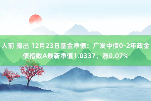 人前 露出 12月23日基金净值：广发中债0-2年政金债指数A最新净值1.0337，涨0.07%