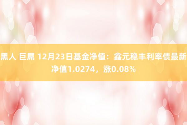 黑人 巨屌 12月23日基金净值：鑫元稳丰利率债最新净值1.0274，涨0.08%