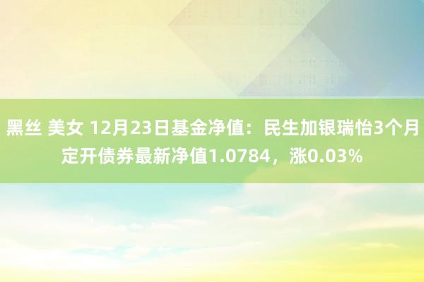 黑丝 美女 12月23日基金净值：民生加银瑞怡3个月定开债券最新净值1.0784，涨0.03%