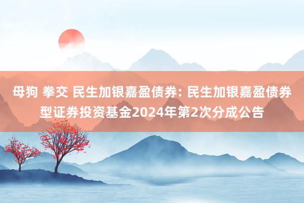 母狗 拳交 民生加银嘉盈债券: 民生加银嘉盈债券型证券投资基金2024年第2次分成公告