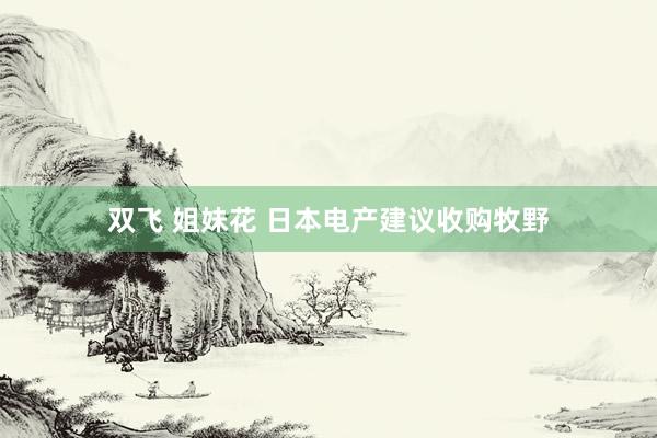 双飞 姐妹花 日本电产建议收购牧野