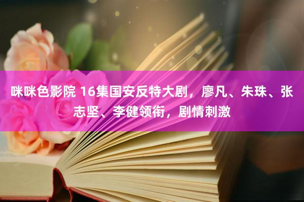 咪咪色影院 16集国安反特大剧，廖凡、朱珠、张志坚、李健领衔，剧情刺激