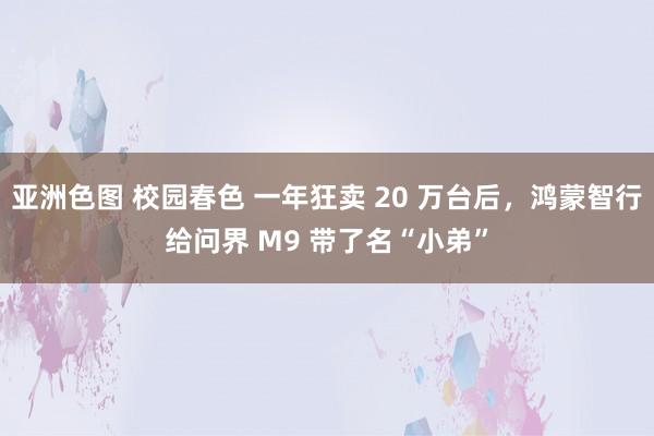 亚洲色图 校园春色 一年狂卖 20 万台后，鸿蒙智行给问界 M9 带了名“小弟”