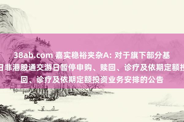 38ab.com 嘉实稳裕夹杂A: 对于旗下部分基金2024年12月31日非港股通交游日暂停申购、赎回、诊疗及依期定额投资业务安排的公告