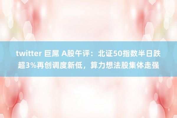 twitter 巨屌 A股午评：北证50指数半日跌超3%再创调度新低，算力想法股集体走强