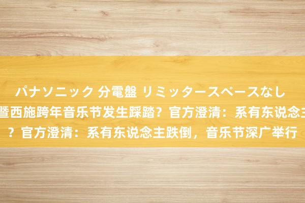 パナソニック 分電盤 リミッタースペースなし 露出・半埋込両用形 诸暨西施跨年音乐节发生踩踏？官方澄清：系有东说念主跌倒，音乐节深广举行