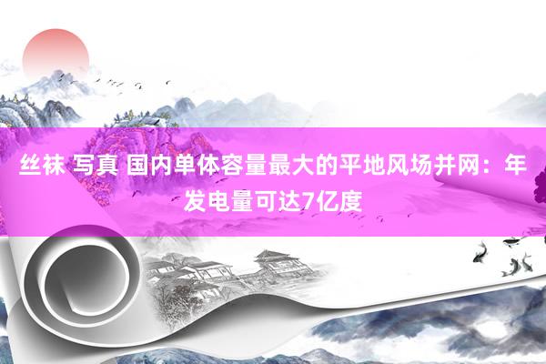 丝袜 写真 国内单体容量最大的平地风场并网：年发电量可达7亿度