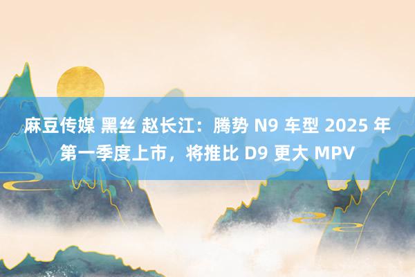 麻豆传媒 黑丝 赵长江：腾势 N9 车型 2025 年第一季度上市，将推比 D9 更大 MPV