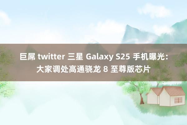 巨屌 twitter 三星 Galaxy S25 手机曝光：大家调处高通骁龙 8 至尊版芯片