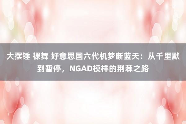 大摆锤 裸舞 好意思国六代机梦断蓝天：从千里默到暂停，NGAD模样的荆棘之路