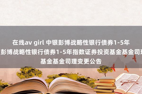 在线av girl 中银彭博战略性银行债券1-5年指数: 中银彭博战略性银行债券1-5年指数证券投资基金基金司理变更公告