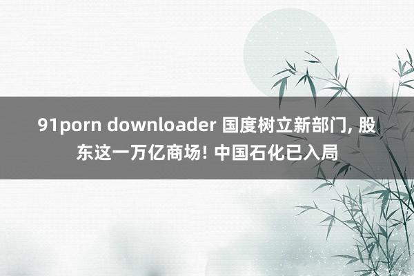 91porn downloader 国度树立新部门， 股东这一万亿商场! 中国石化已入局