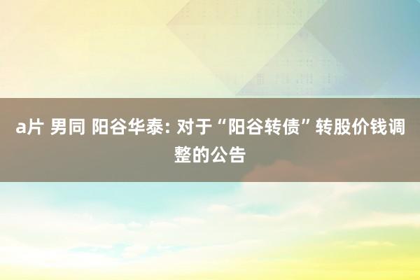 a片 男同 阳谷华泰: 对于“阳谷转债”转股价钱调整的公告