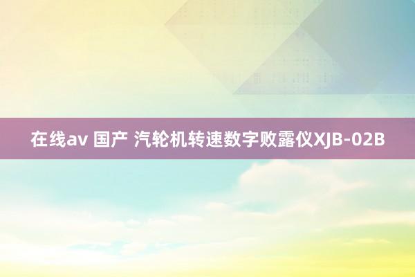 在线av 国产 汽轮机转速数字败露仪XJB-02B