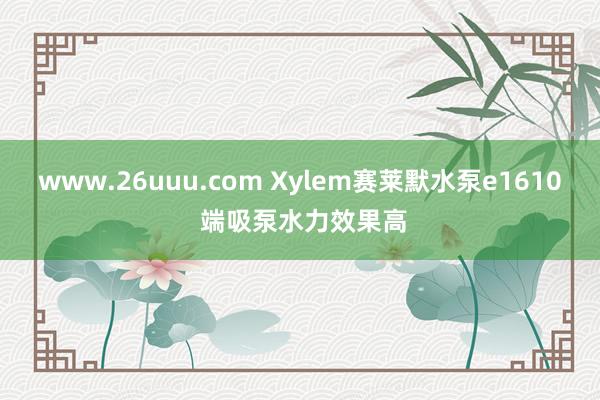 www.26uuu.com Xylem赛莱默水泵e1610 端吸泵水力效果高