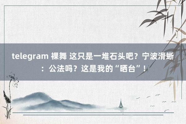 telegram 裸舞 这只是一堆石头吧？宁波滑蜥：公法吗？这是我的“晒台”！