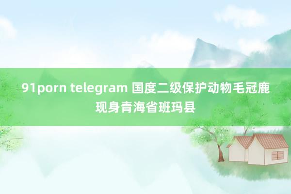 91porn telegram 国度二级保护动物毛冠鹿现身青海省班玛县