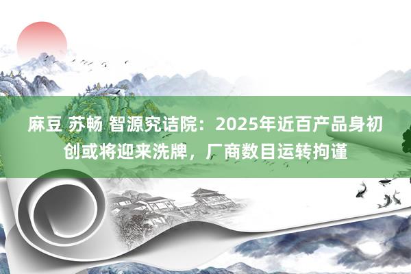 麻豆 苏畅 智源究诘院：2025年近百产品身初创或将迎来洗牌，厂商数目运转拘谨