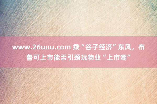 www.26uuu.com 乘“谷子经济”东风，布鲁可上市能否引颈玩物业“上市潮”