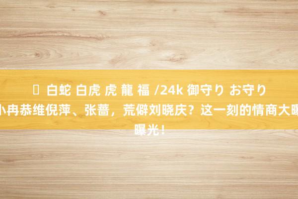 ✨白蛇 白虎 虎 龍 福 /24k 御守り お守り 李小冉恭维倪萍、张蔷，荒僻刘晓庆？这一刻的情商大曝光！