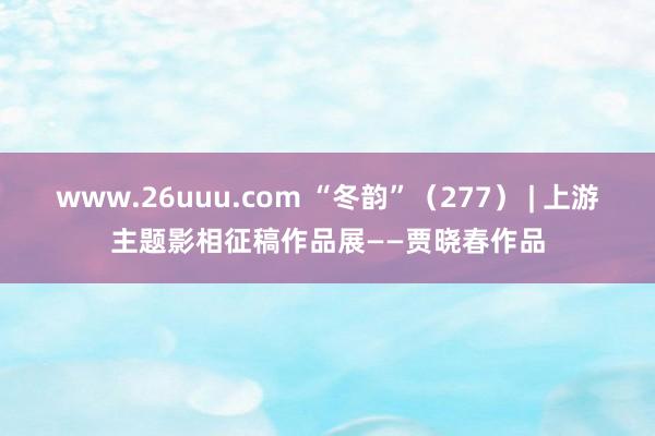 www.26uuu.com “冬韵”（277） | 上游主题影相征稿作品展——贾晓春作品